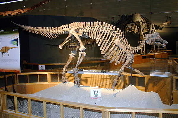 Nipponosaurus sachalinensis