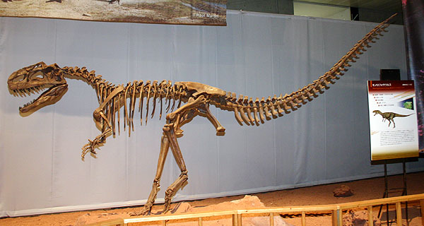 Monolophosaurus jiangi