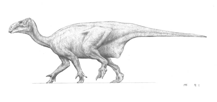 iguanodon COAmh