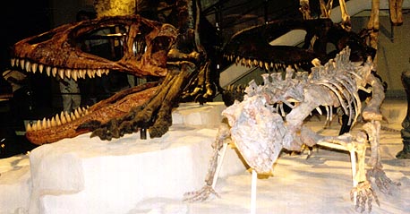 プレトスクス。後ろ左はカルカロドントサウルス、右はギガノトサウルス