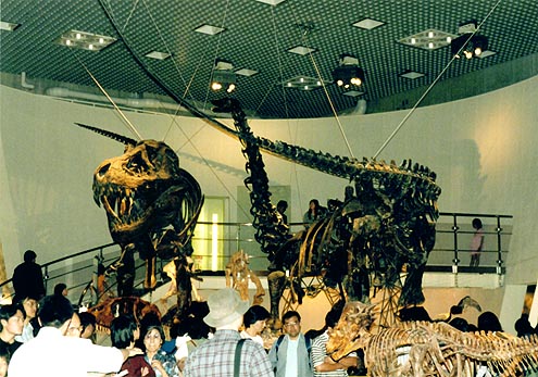 左ティラノサウルス、右アパトサウルス、右手前パキケファロサウルス、ティラノサウルスの足下にカルカロドントサウルス